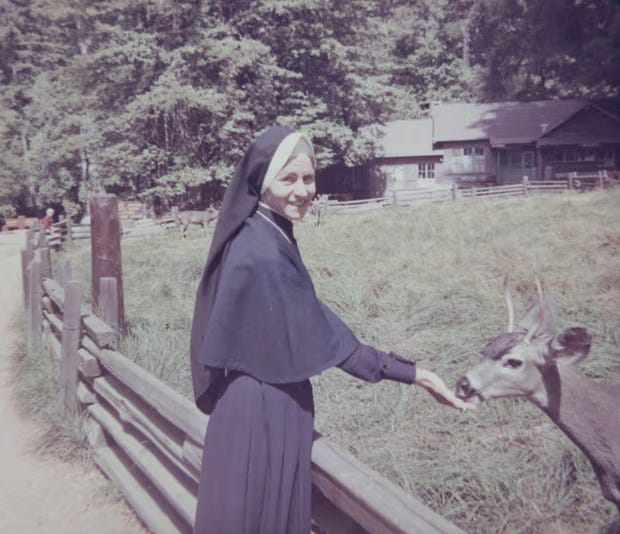Mary Dispenza, shown as a child, when a Catholic priest began sexually abusing her when she was 7 (left), and during her 15 years as a nun. Dispenza, who was also abused while in the novitiate, now serves as a leader of a network for those abused by nuns. (Photos: Mary Dispenza)